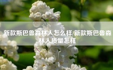 新款斯巴鲁森林人怎么样/新款斯巴鲁森林人质量怎样