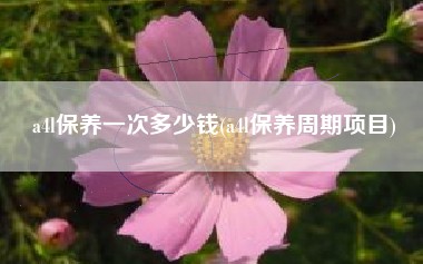 a4l保养一次多少钱(a4l保养周期项目)