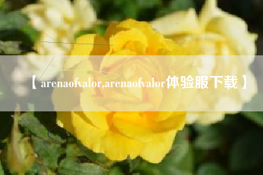 【arenaofvalor,arenaofvalor体验服下载】