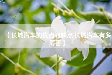 【长城汽车的优点和缺点,长城汽车有多厉害】