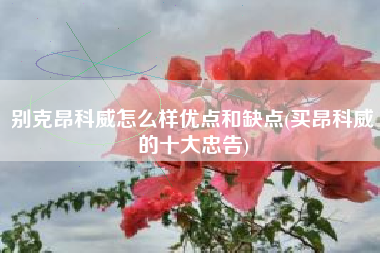 别克昂科威怎么样优点和缺点(买昂科威的十大忠告)