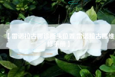 【雷诺拉古娜诊断头位置,雷诺拉古娜维修手册】