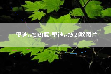 奥迪rs72021款/奥迪rs72021款图片