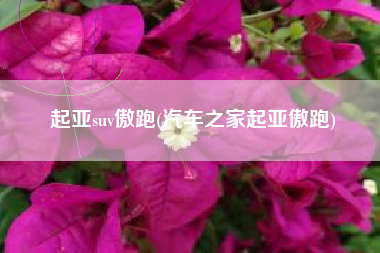 起亚suv傲跑(汽车之家起亚傲跑)