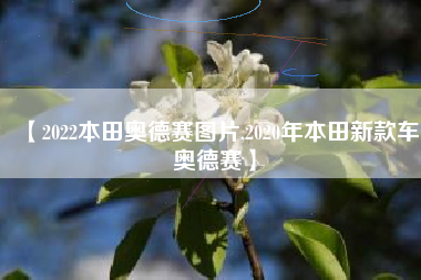 【2022本田奥德赛图片,2020年本田新款车奥德赛】