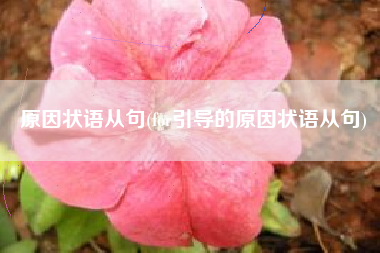 原因状语从句(for引导的原因状语从句) 原因状语从句(for引导的原因状语从句)