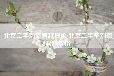 北京二手别克君越报价/北京二手车别克君越价格