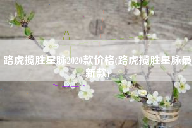 路虎揽胜星脉2020款价格(路虎揽胜星脉最新款) 路虎揽胜星脉2020款价格(路虎揽胜星脉最新款)