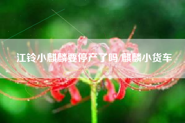 江铃小麒麟要停产了吗/麒麟小货车