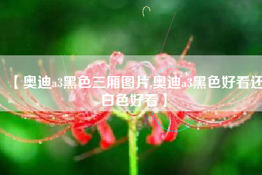 【奥迪a3黑色三厢图片,奥迪a3黑色好看还白色好看】