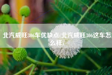 北汽威旺306车优缺点(北汽威旺306这车怎么样) 北汽威旺306车优缺点(北汽威旺306这车怎么样)