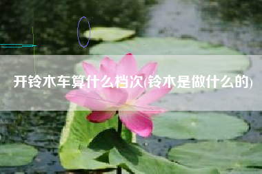 开铃木车算什么档次(铃木是做什么的)