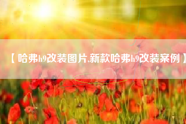 【哈弗h9改装图片,新款哈弗h9改装案例】 【哈弗h9改装图片,新款哈弗h9改装案例】