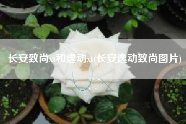 长安致尚xt和逸动xt(长安逸动致尚图片)