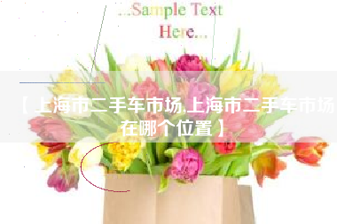 【上海市二手车市场,上海市二手车市场在哪个位置】