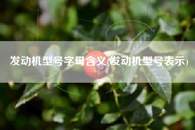 发动机型号字母含义(发动机型号表示)