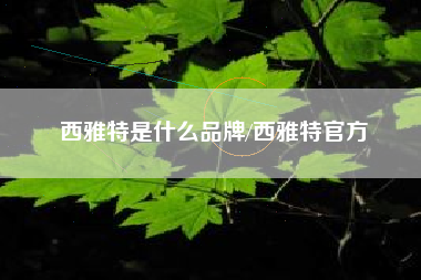 西雅特是什么品牌/西雅特官方 西雅特是什么品牌/西雅特官方