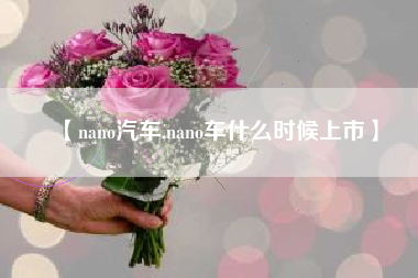 【nano汽车,nano车什么时候上市】