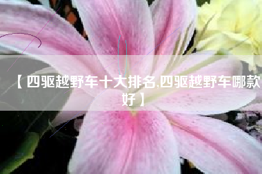 【四驱越野车十大排名,四驱越野车哪款好】