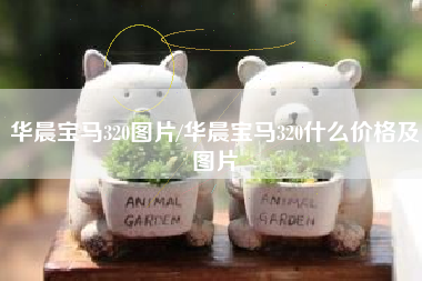 华晨宝马320图片/华晨宝马320什么价格及图片