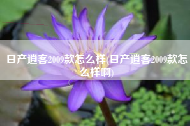 日产逍客2009款怎么样(日产逍客2009款怎么样啊)