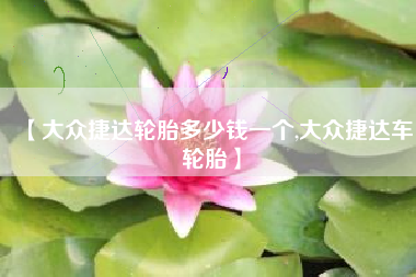 【大众捷达轮胎多少钱一个,大众捷达车轮胎】