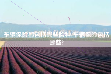 车辆保险都包括哪些险种/车辆保险包括哪些?