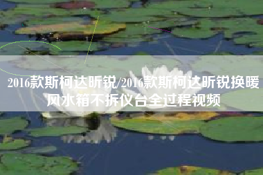 2016款斯柯达昕锐/2016款斯柯达昕锐换暖风水箱不拆仪台全过程视频