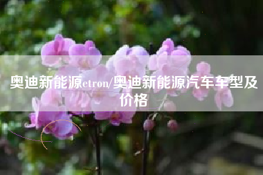奥迪新能源etron/奥迪新能源汽车车型及价格 奥迪新能源etron/奥迪新能源汽车车型及价格