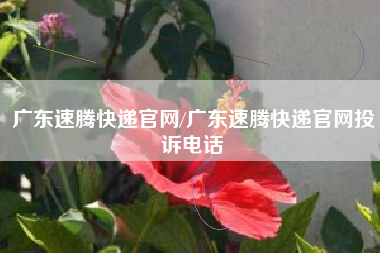 广东速腾快递官网/广东速腾快递官网投诉电话 广东速腾快递官网/广东速腾快递官网投诉电话