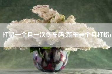 打蜡一个月一次伤车吗(新车一个月打蜡) 打蜡一个月一次伤车吗(新车一个月打蜡)