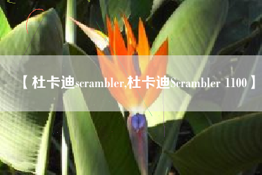 【杜卡迪scrambler,杜卡迪Scrambler 1100】