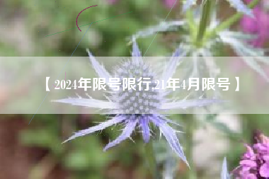 【2024年限号限行,21年4月限号】