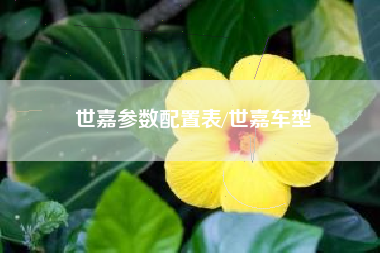 世嘉参数配置表/世嘉车型