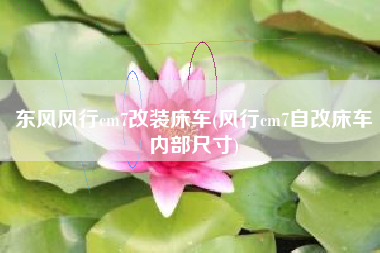 东风风行cm7改装床车(风行cm7自改床车内部尺寸)