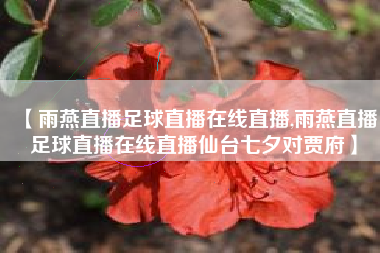 【雨燕直播足球直播在线直播,雨燕直播足球直播在线直播仙台七夕对贾府】