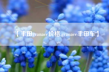 【丰田granace价格,granace丰田车】