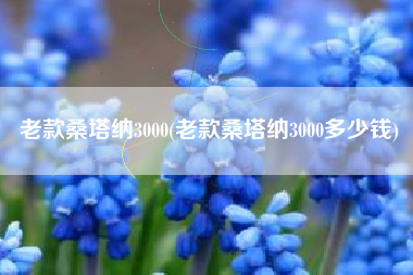 老款桑塔纳3000(老款桑塔纳3000多少钱) 老款桑塔纳3000(老款桑塔纳3000多少钱)