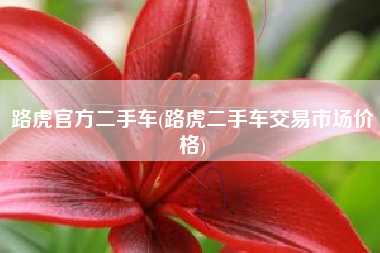 路虎官方二手车(路虎二手车交易市场价格) 路虎官方二手车(路虎二手车交易市场价格)