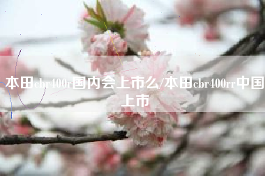 本田cbr400r国内会上市么/本田cbr400rr中国上市