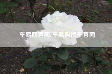 车易网官网/车易购汽车官网