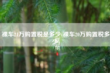 裸车21万购置税是多少(裸车20万购置税多少)