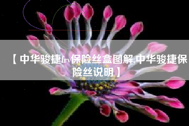 【中华骏捷frv保险丝盒图解,中华骏捷保险丝说明】