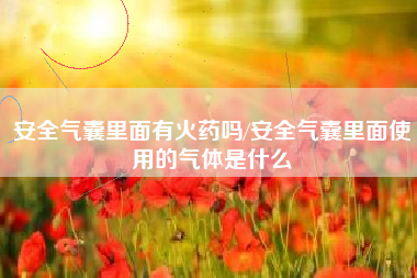 安全气囊里面有火药吗/安全气囊里面使用的气体是什么