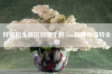 特顺和全顺区别哪个好/jmc特顺和福特全顺
