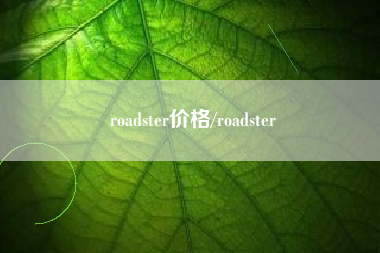 roadster价格/roadster roadster价格/roadster