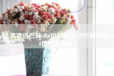 【奔驰迈巴赫s480价格多少,迈巴赫奔驰s480价格及图片】