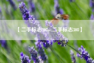 【二手标志207cc,二手标志308】
