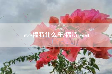 evos福特什么车/福特evosst