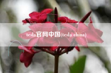 tesla官网中国(tesla china)